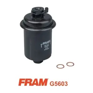 FRAM G5603