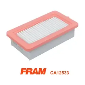 CA12533 FRAM