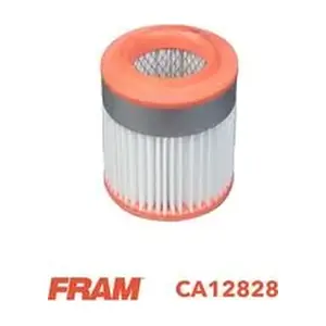 CA12828 FRAM