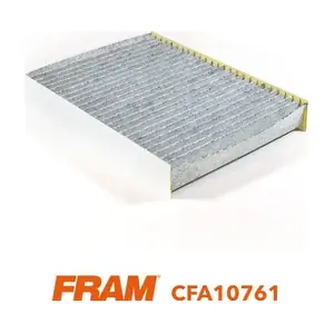 CFA10761 FRAM