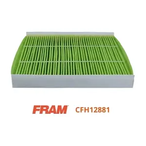 CFH12881 FRAM