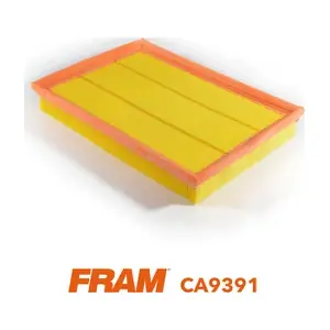 FRAM CA9391