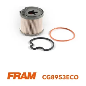 FRAM CG8953ECO