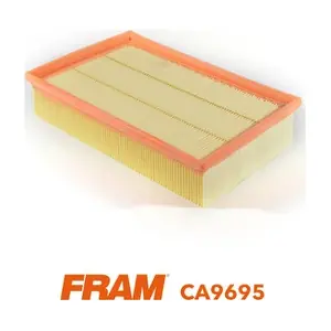 FRAM CA9695