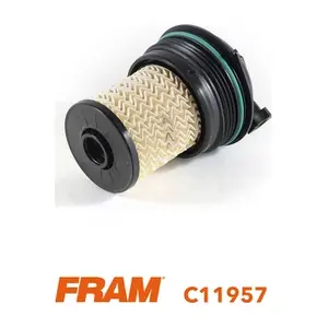 C11957 FRAM