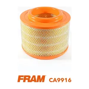 FRAM CA9916