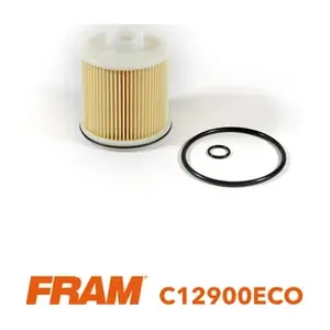C12900ECO FRAM