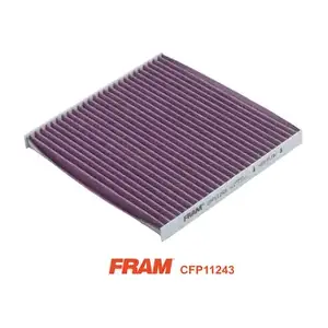 CFP11243 FRAM