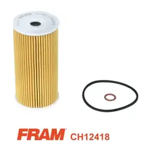 CH12418 FRAM