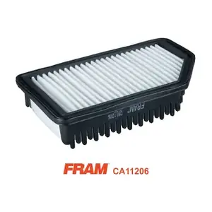 FRAM CA11206