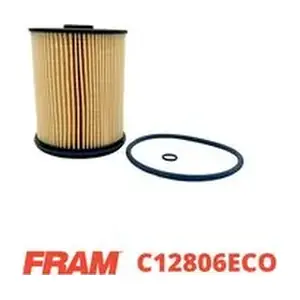 C12806ECO FRAM