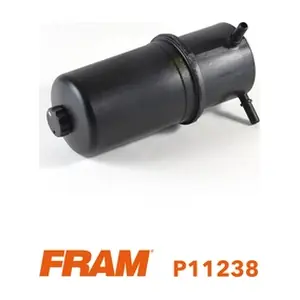 P11238 FRAM