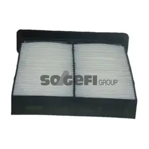FRAM CF10559