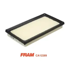 FRAM CA12289