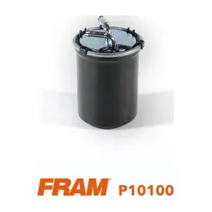 P10100 FRAM