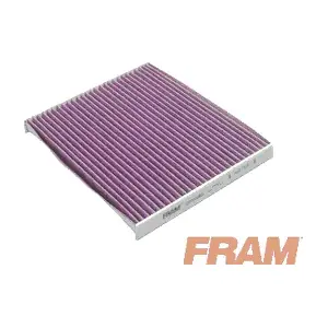 FRAM CFP10365