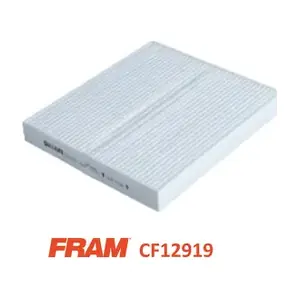 CF12919 FRAM