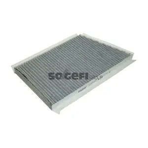 FRAM CFA10450