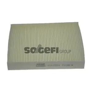 FRAM CF9666
