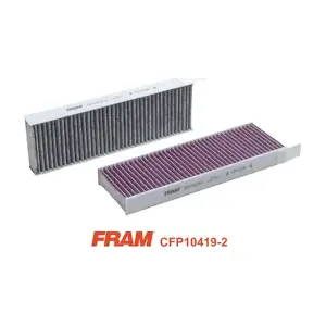 FRAM CFP10419-2