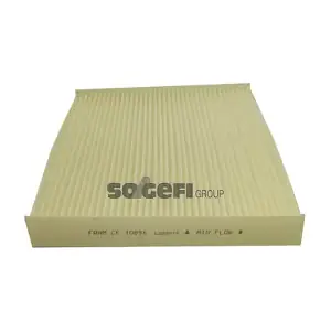 FRAM CF10896