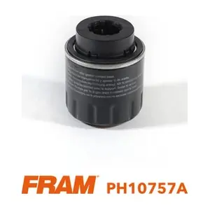 PH10757A FRAM