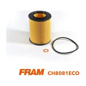 CH8081ECO FRAM