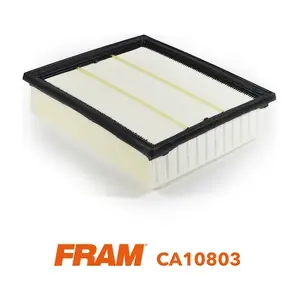 FRAM CA10803