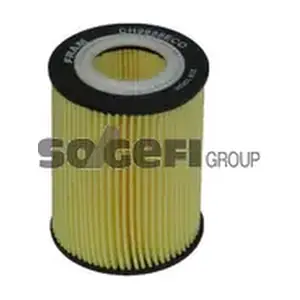 FRAM CH9955 ECO
