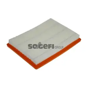 CA9838 FRAM