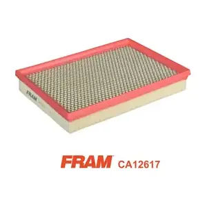 CA12617 FRAM