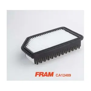 FRAM CA12489