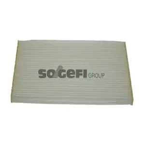 FRAM CF10917