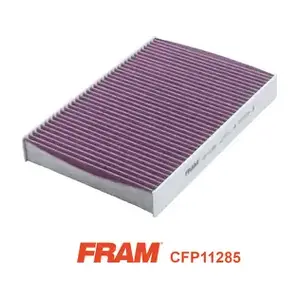CFP11285 FRAM