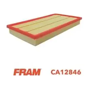 CA12846 FRAM