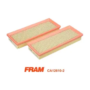CA12610-2 FRAM