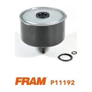 P11192 FRAM