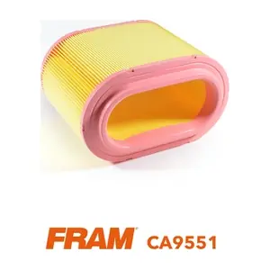 FRAM CA9551