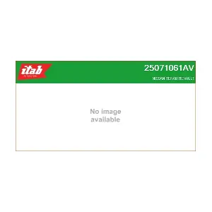 25071061AV ITAB AUTOMOTIVE