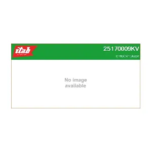 25170009KV ITAB AUTOMOTIVE