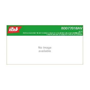 ITAB AUTOMOTIVE 80077018AV