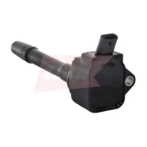 825020 CASCO