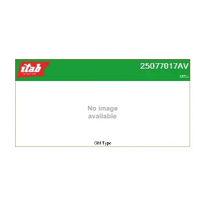 25077017AV ITAB AUTOMOTIVE