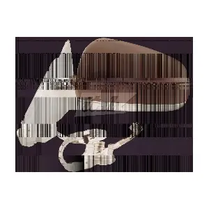 RTVR1070AV ITAB AUTOMOTIVE