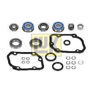 462 0196 10 Schaeffler LuK