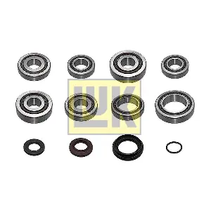 Schaeffler LuK 462 0406 10
