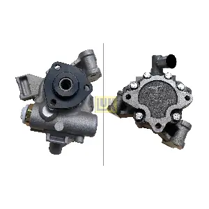 541 0189 10 Schaeffler LuK