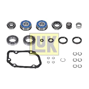 462 0395 10 Schaeffler LuK