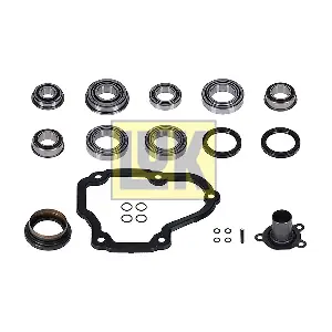 462 0323 10 Schaeffler LuK