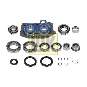 462 0384 10 Schaeffler LuK